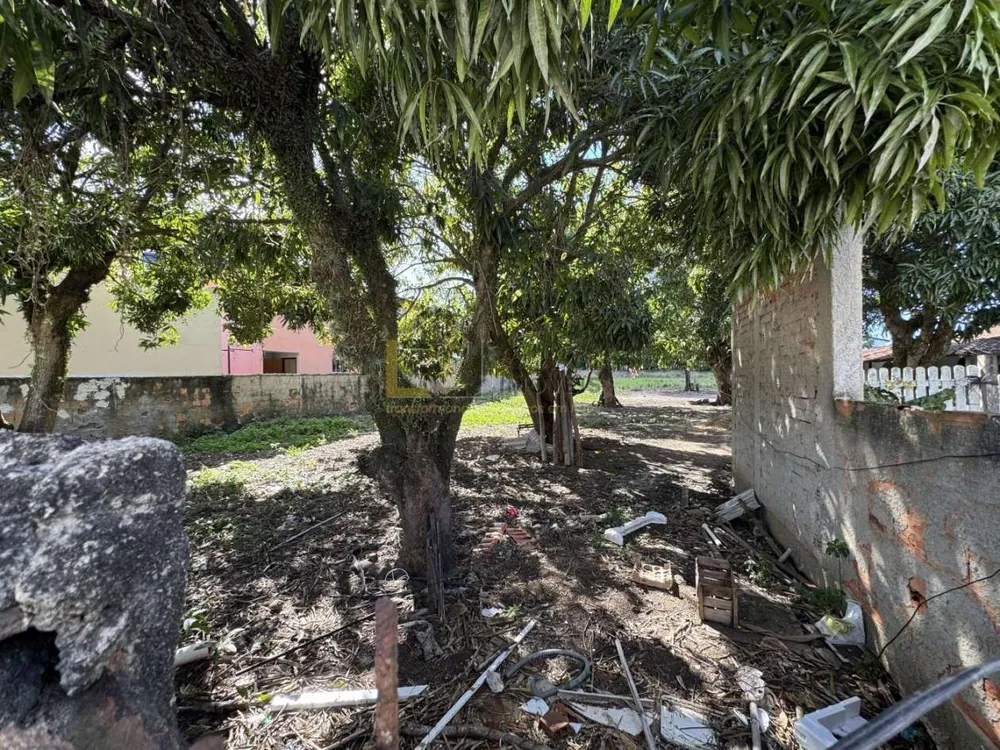Terreno, 2500 m² - Foto 3