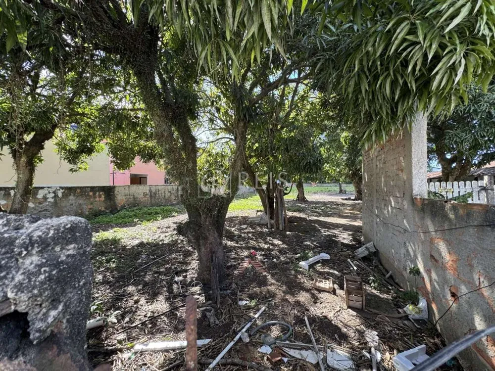 Terreno, 2500 m² - Foto 7