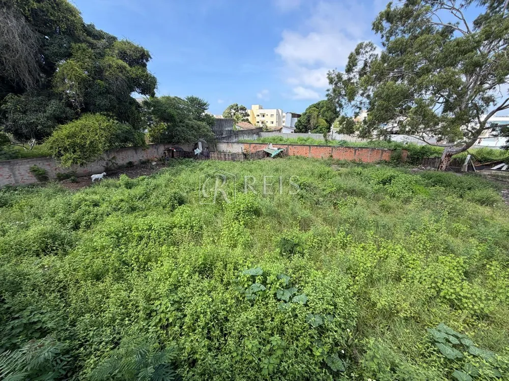 Terreno, 2500 m² - Foto 11