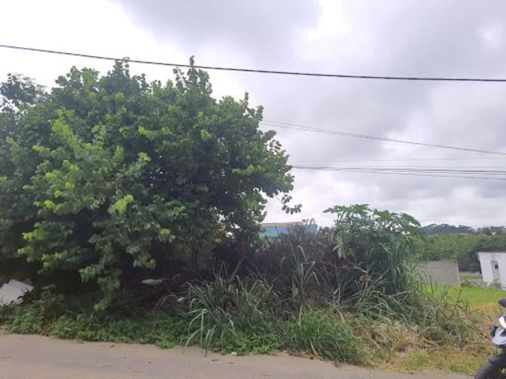 Terreno, 360 m² - Foto 11
