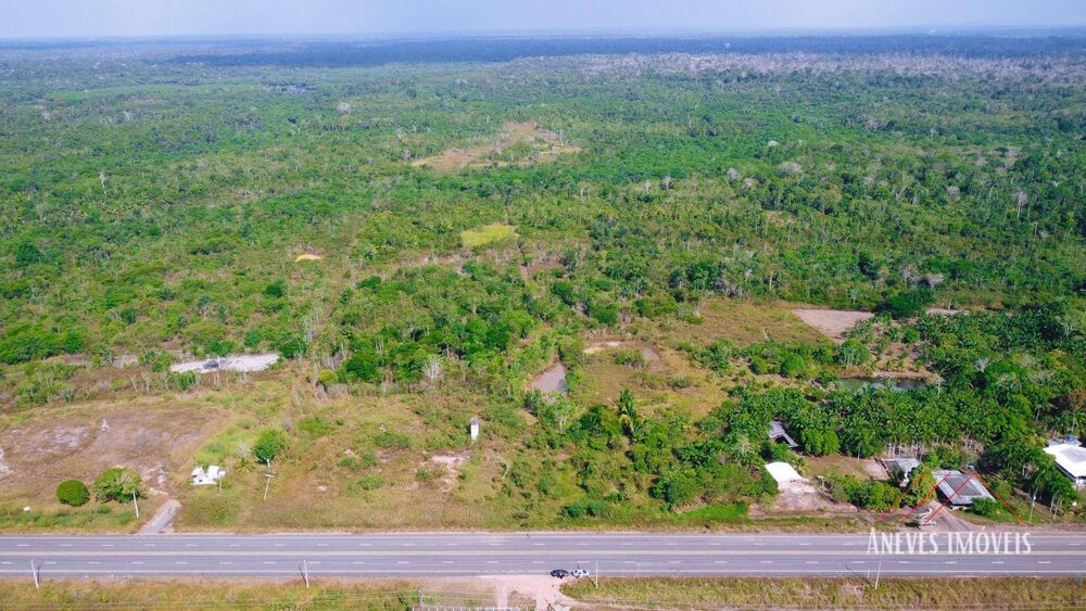 Terreno, 71 hectares - Foto 5