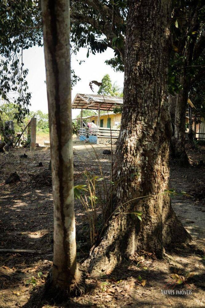 Terreno, 71 hectares - Foto 1