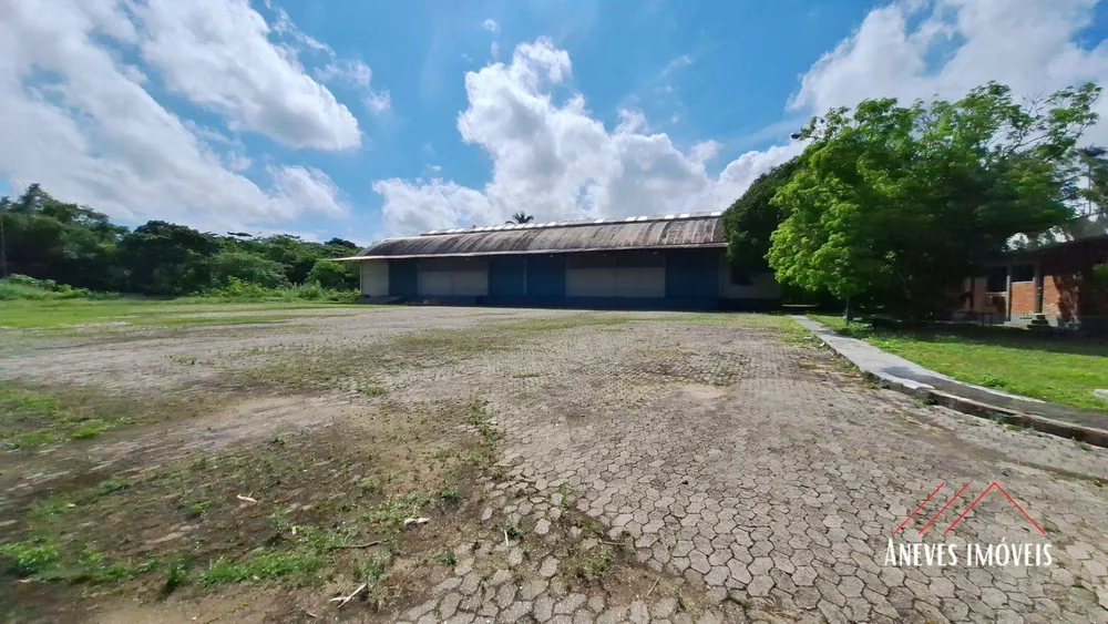 Terreno, 4 hectares - Foto 3