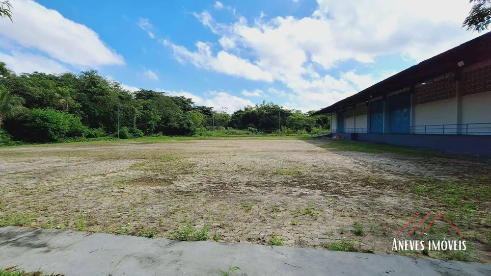 Terreno, 4 hectares - Foto 4