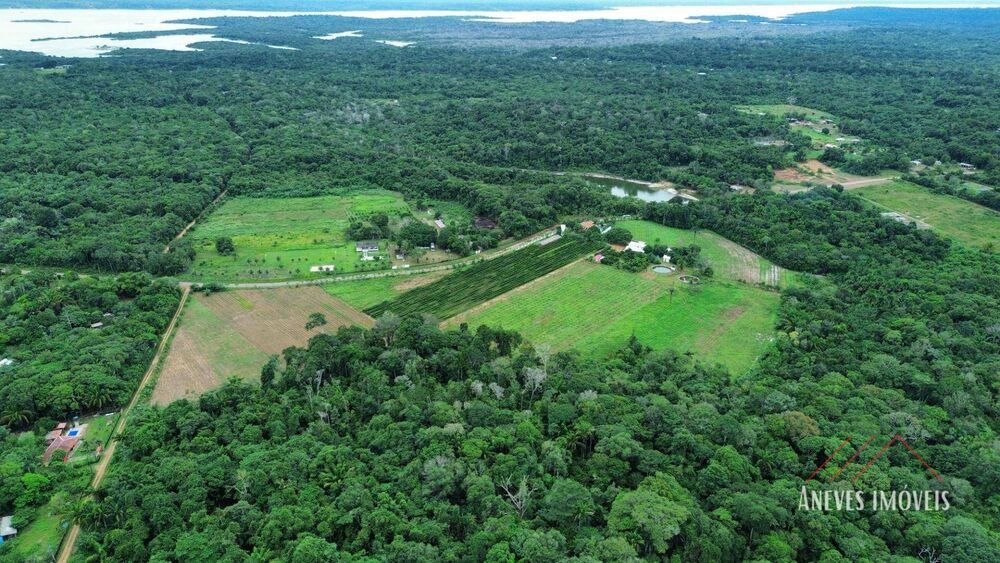 Fazenda, 14 hectares - Foto 13