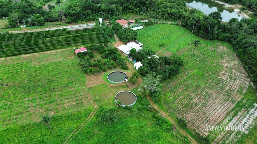 Fazenda, 14 hectares - Foto 11