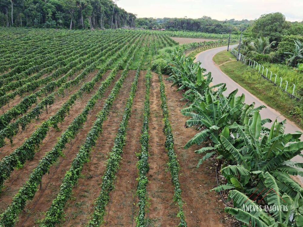 Fazenda, 14 hectares - Foto 9