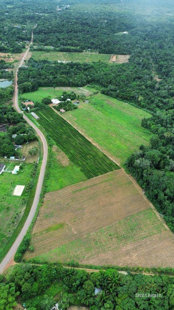 Fazenda, 14 hectares - Foto 14