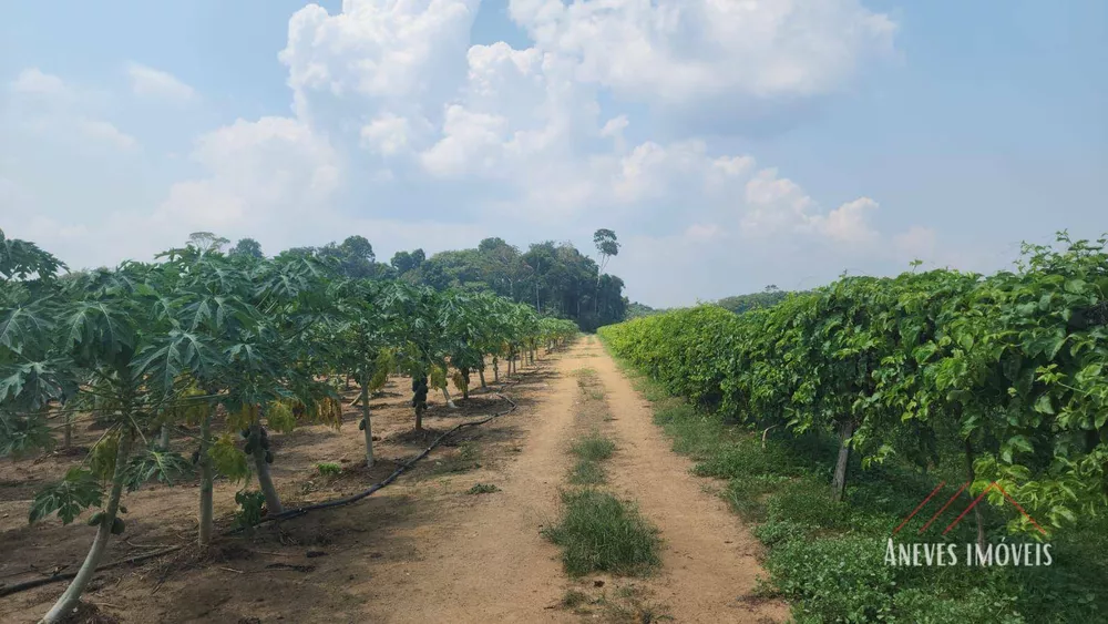 Fazenda, 14 hectares - Foto 10