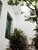 Casa, 3 quartos, 400 m² - Foto 16