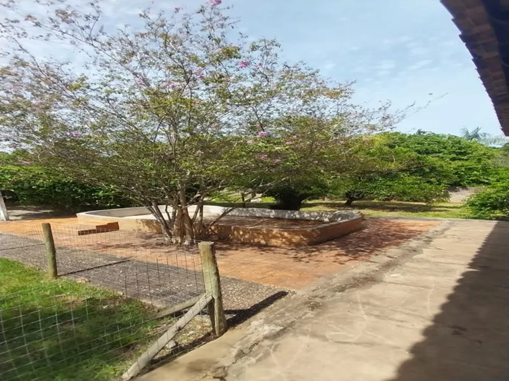 Casa, 4 quartos, 363 m² - Foto 14