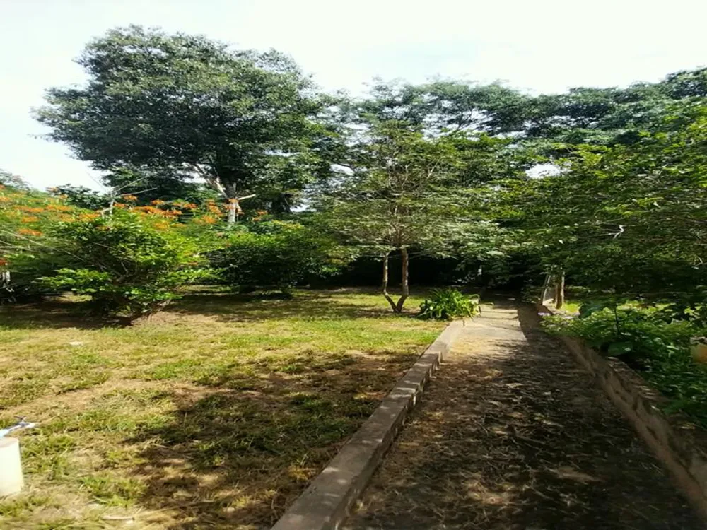 Casa, 4 quartos, 363 m² - Foto 13
