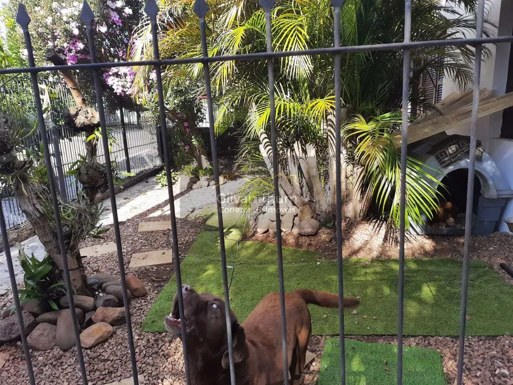 Casa, 5 quartos, 356 m² - Foto 13