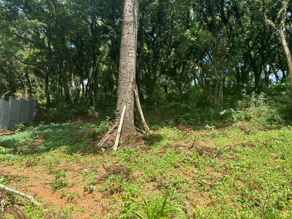 Loteamento e Condomínio, 1 hectares - Foto 3