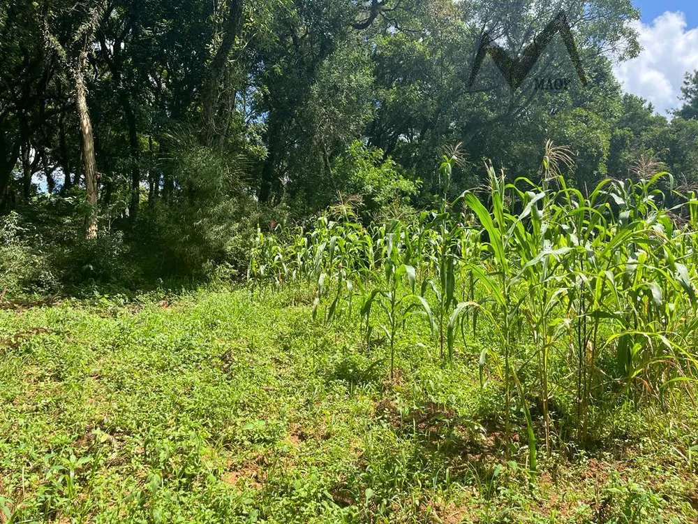 Loteamento e Condomínio, 1 hectares - Foto 4