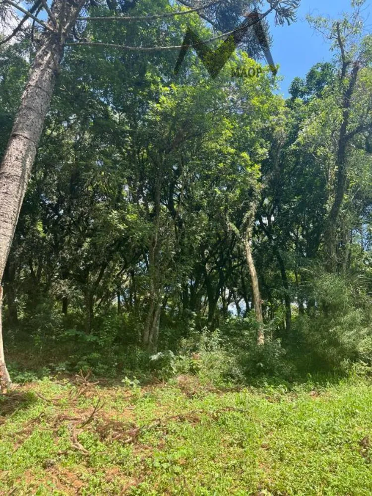 Loteamento e Condomínio, 1 hectares - Foto 2