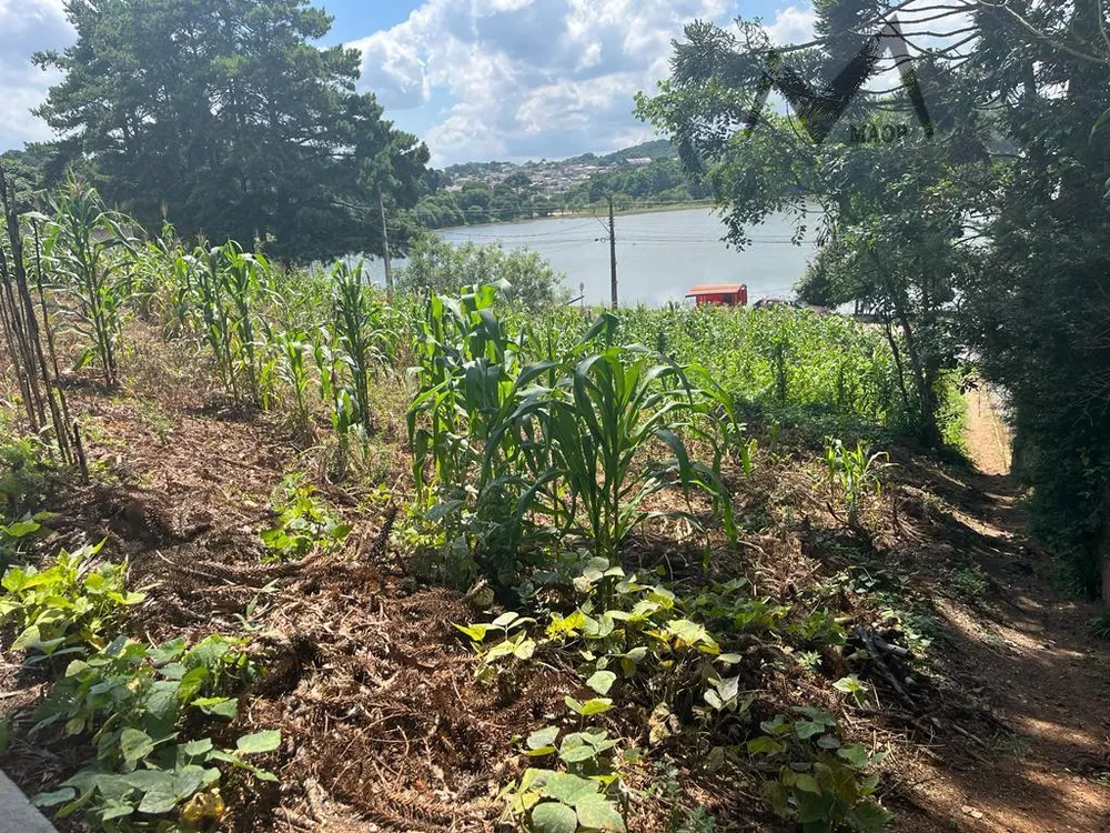 Loteamento e Condomínio, 1 hectares - Foto 1