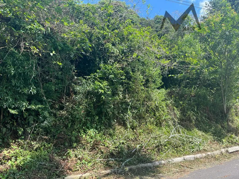 Loteamento e Condomínio, 1 hectares - Foto 5
