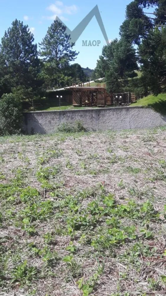 Terreno, 5 hectares - Foto 5