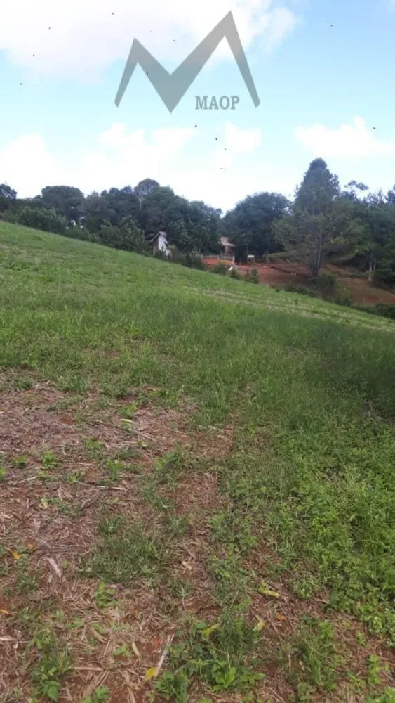 Terreno, 5 hectares - Foto 6