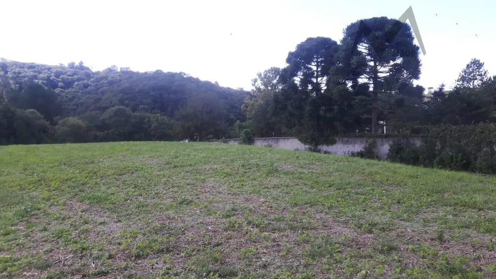 Terreno, 5 hectares - Foto 1