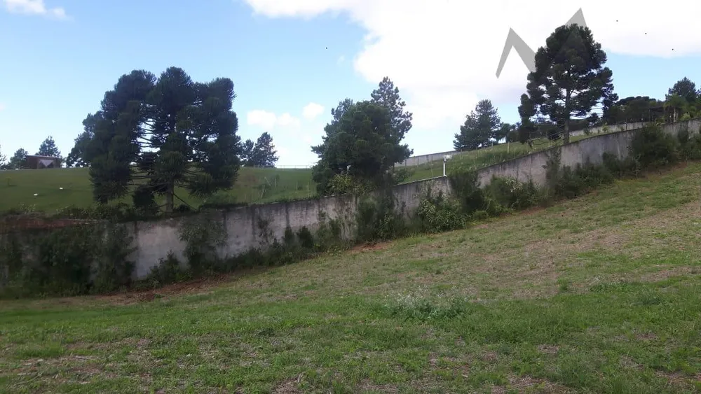 Terreno, 5 hectares - Foto 7
