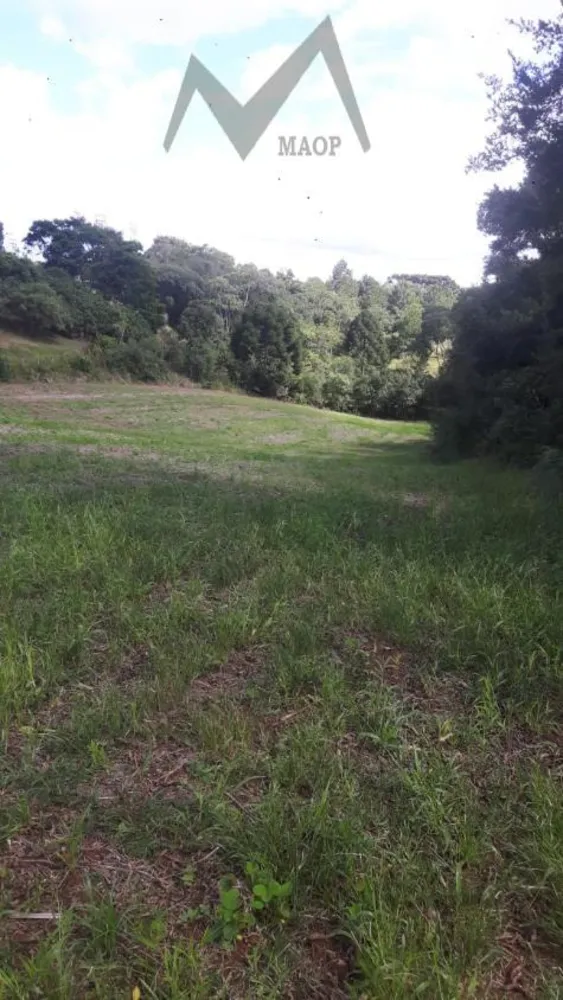 Terreno, 5 hectares - Foto 11