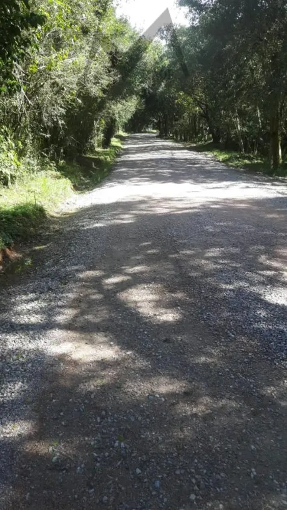 Terreno, 5 hectares - Foto 6