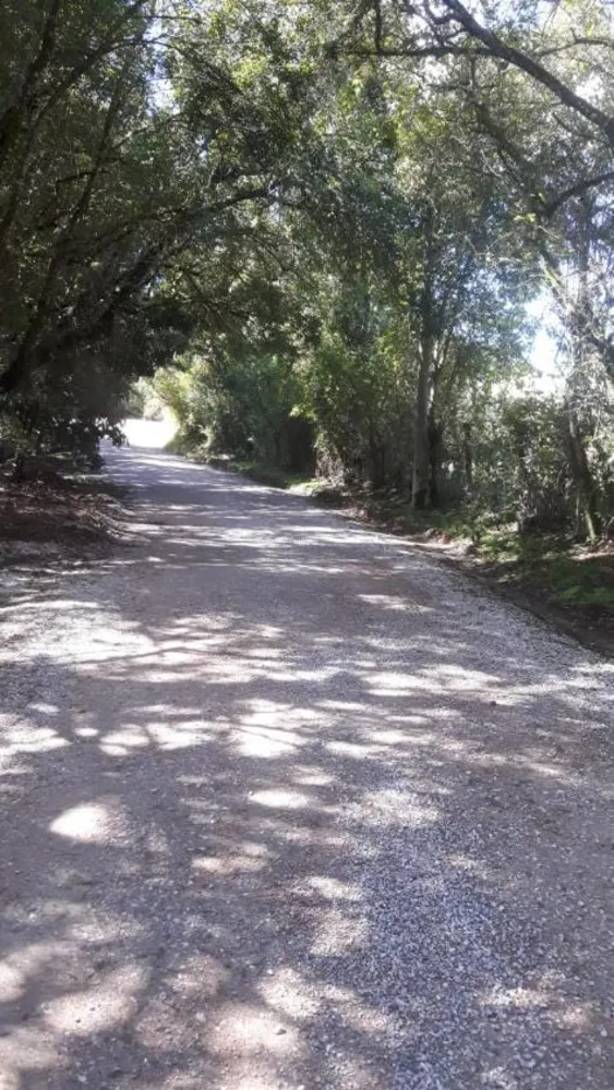 Terreno, 5 hectares - Foto 3