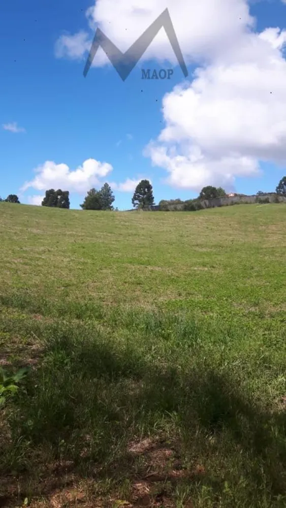 Terreno, 5 hectares - Foto 9
