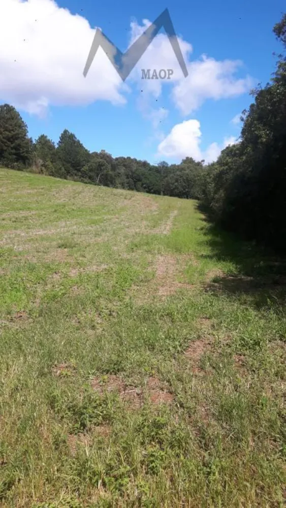 Terreno, 5 hectares - Foto 8