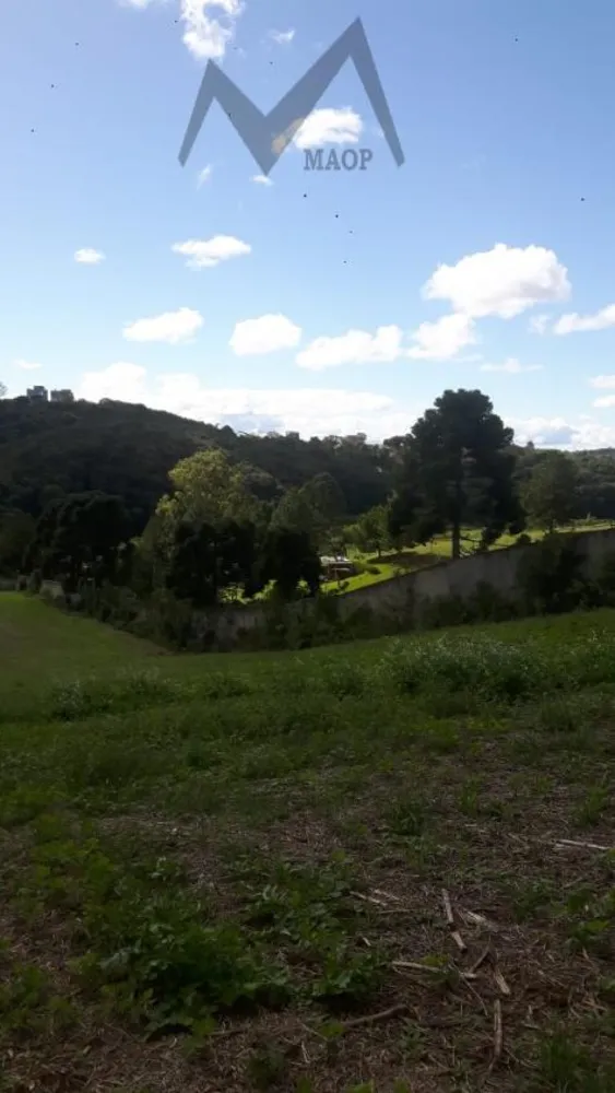 Terreno, 5 hectares - Foto 10