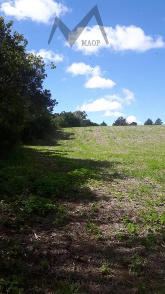 Terreno, 5 hectares - Foto 8
