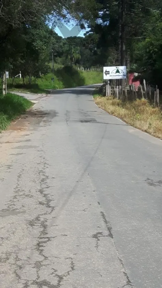 Terreno, 5 hectares - Foto 2