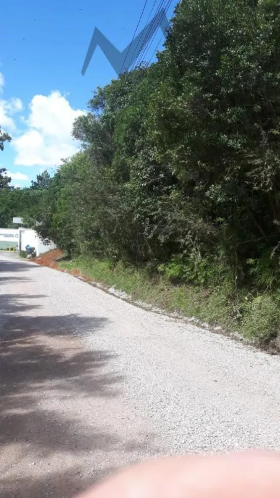 Terreno, 5 hectares - Foto 4