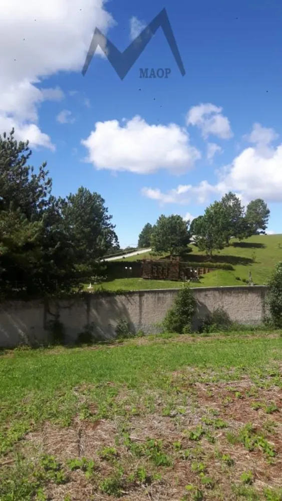 Terreno, 5 hectares - Foto 10