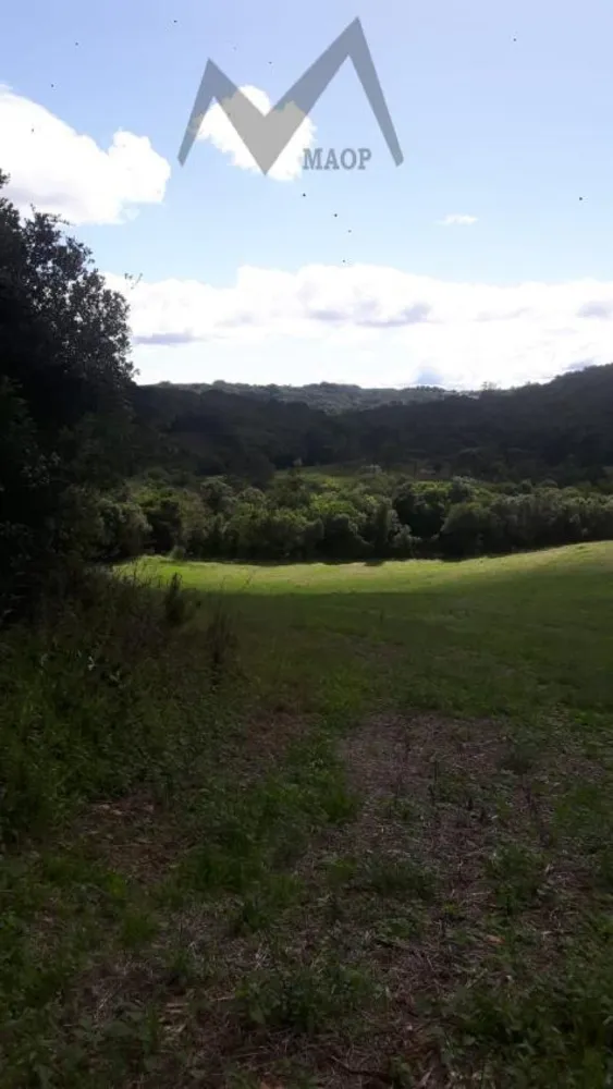 Terreno, 5 hectares - Foto 12