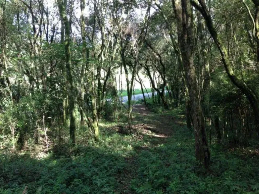 Terreno, 3437 m² - Foto 1