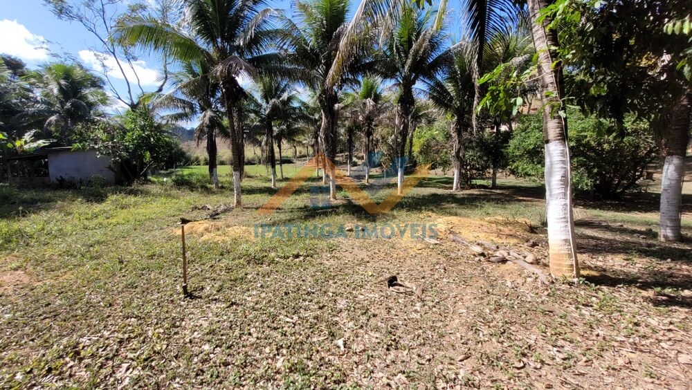 Chácara, 1 quarto, 1000 m² - Foto 10