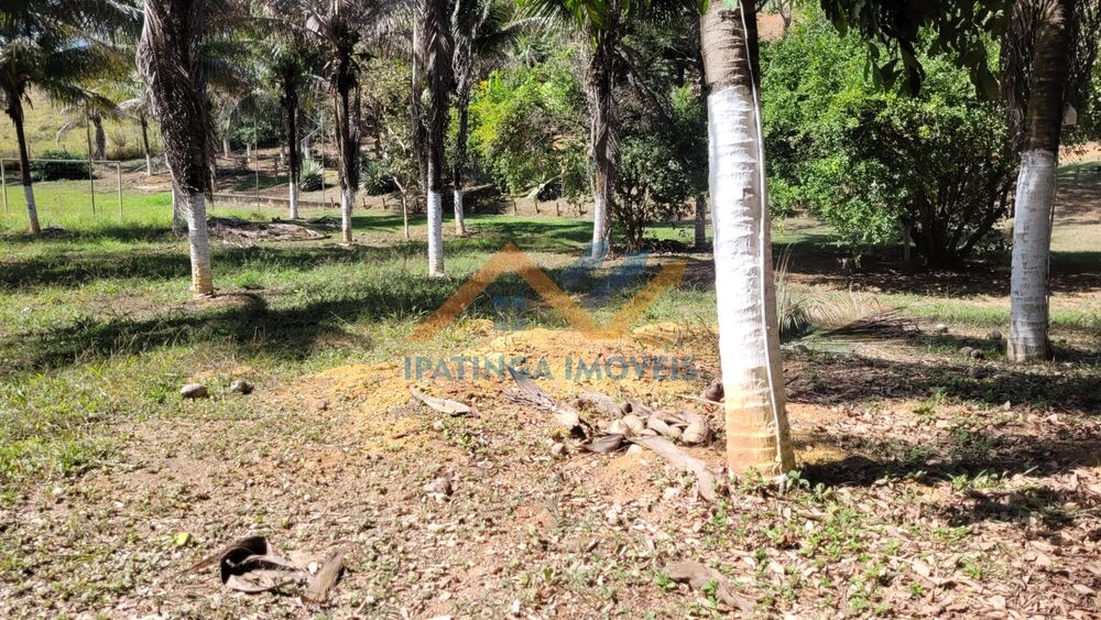 Chácara, 1 quarto, 1000 m² - Foto 12