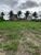 Prédio Inteiro, 5000 m² - Foto 2