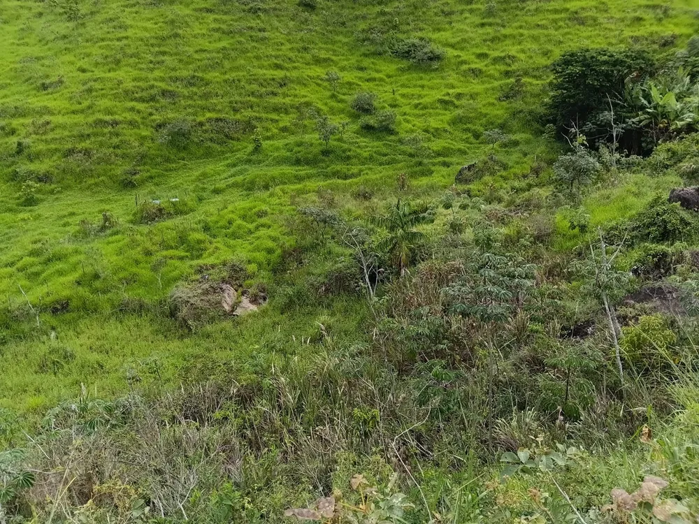 Terreno, 23 hectares - Foto 3