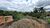 Terreno, 360 m² - Foto 3