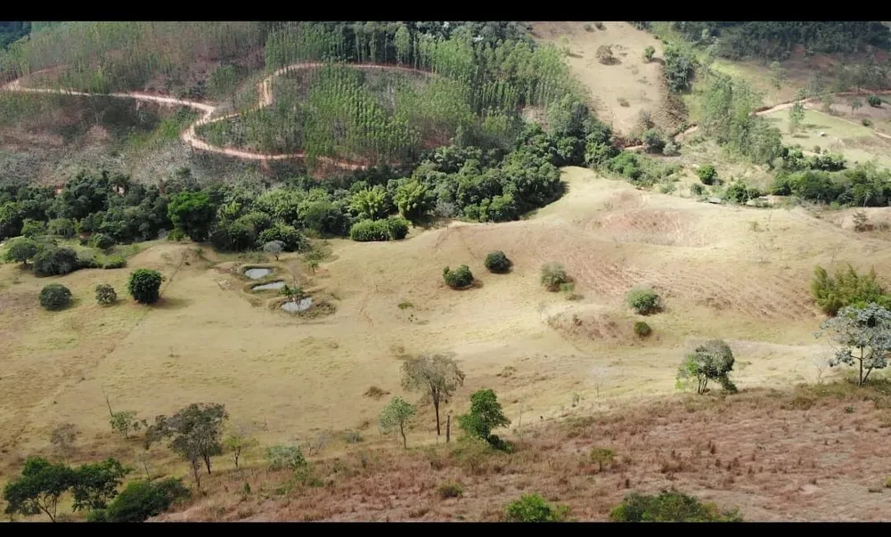 Fazenda, 43 hectares - Foto 3