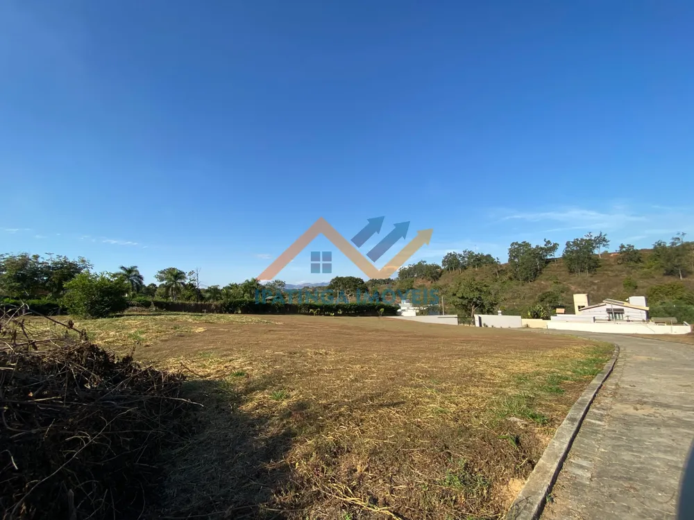 Casa, 4 quartos, 380 m² - Foto 14