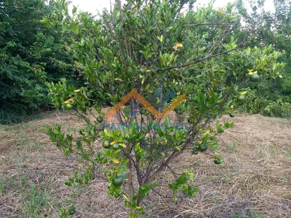 Chácara, 5000 m² - Foto 4