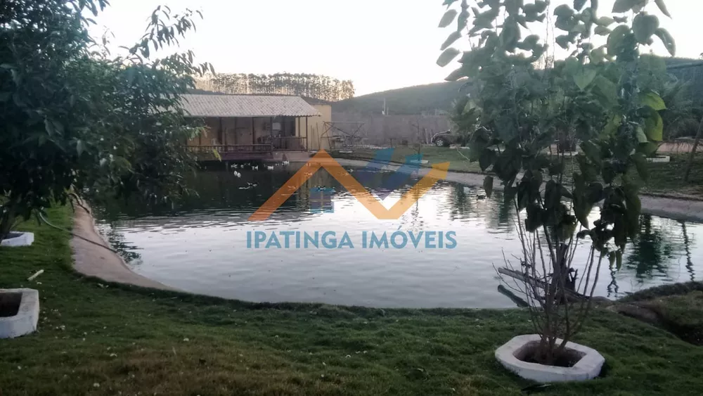 Chácara, 5000 m² - Foto 3