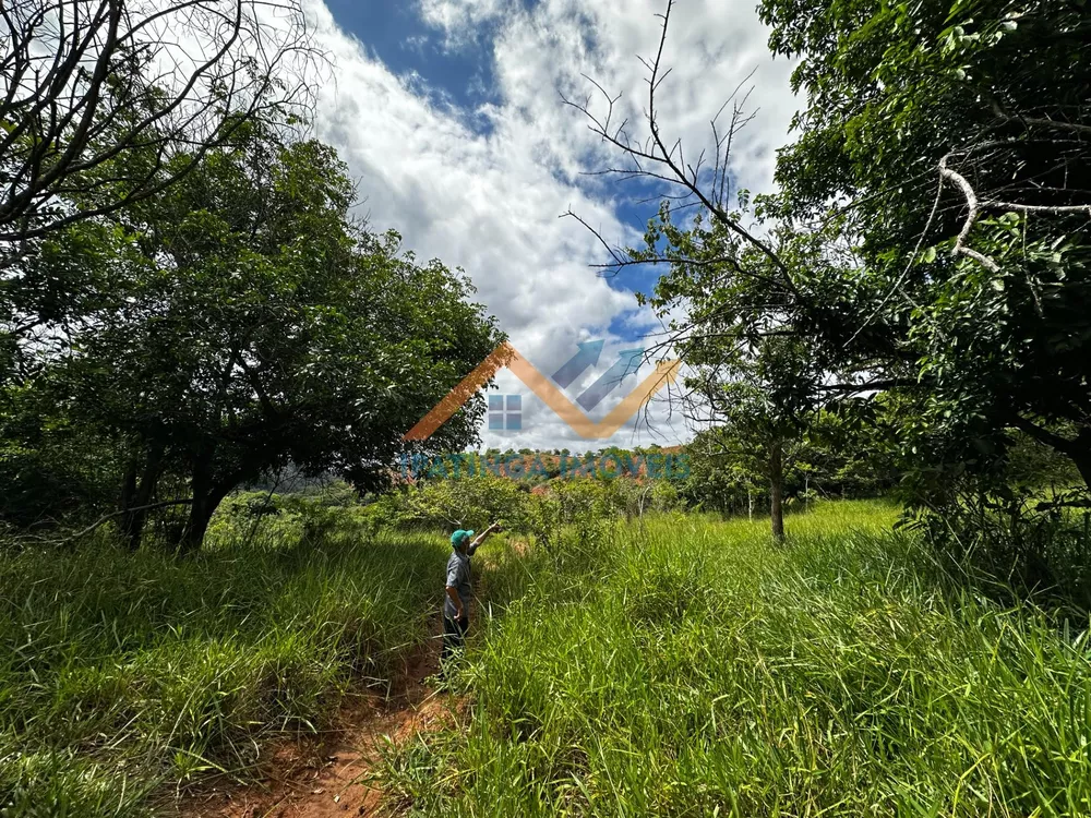 Terreno, 47 hectares - Foto 3