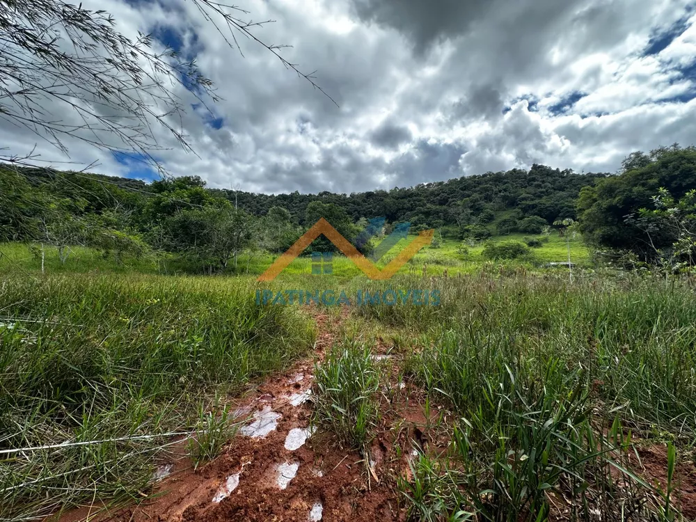 Terreno, 47 hectares - Foto 5