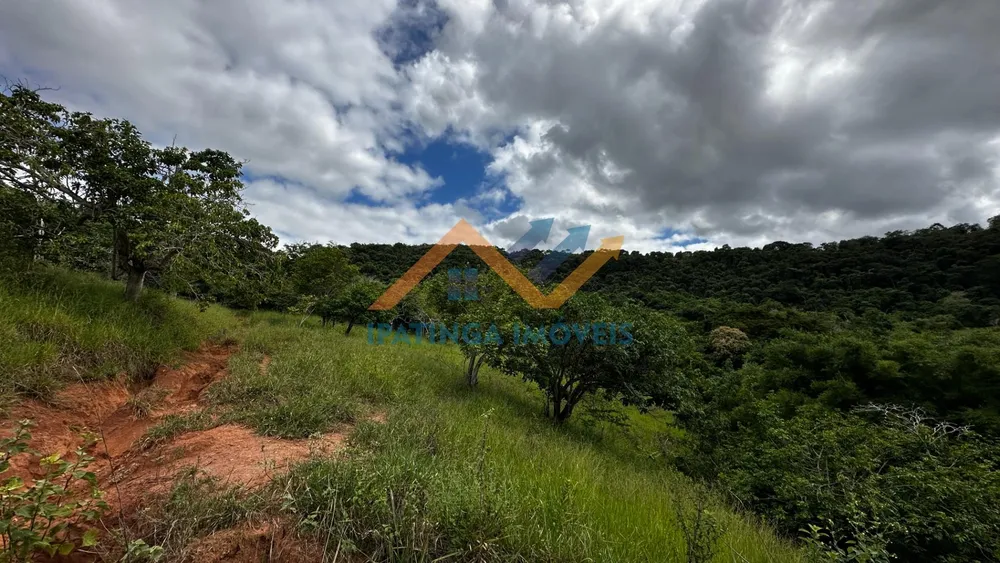 Terreno, 47 hectares - Foto 10
